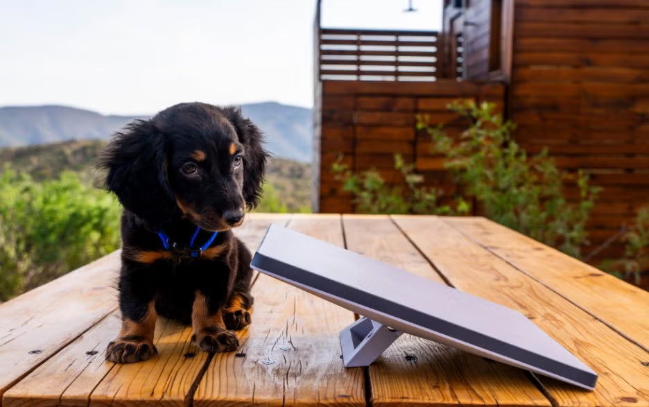 Top Starlink Mini Accessories to Boost Your Connectivity in 2026